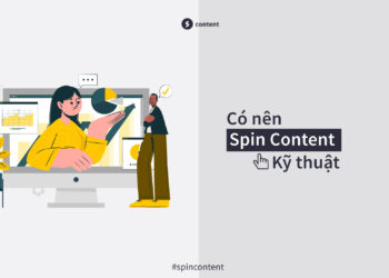 Spin content là gì?